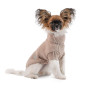 Светр Sam Pet Fashion для собак, розмір XS бежевий