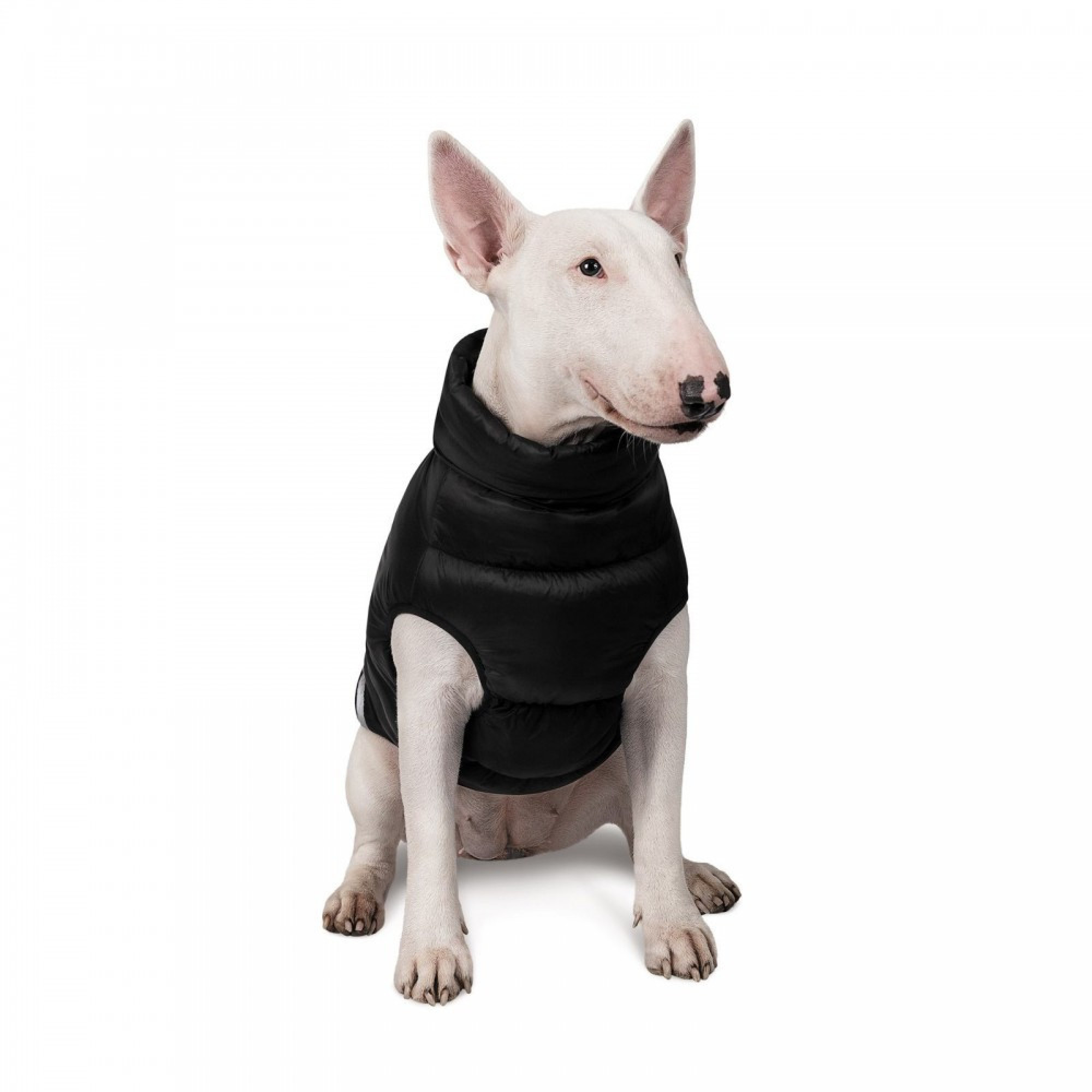 Жилет Pet Fashion Big Boss для собак чорний 3XL