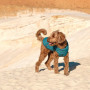 Жилет Pet Fashion E.Vest для собак морська хвиля XL