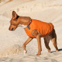 Жилет Pet Fashion E.Vest для собак помаранчевий XL