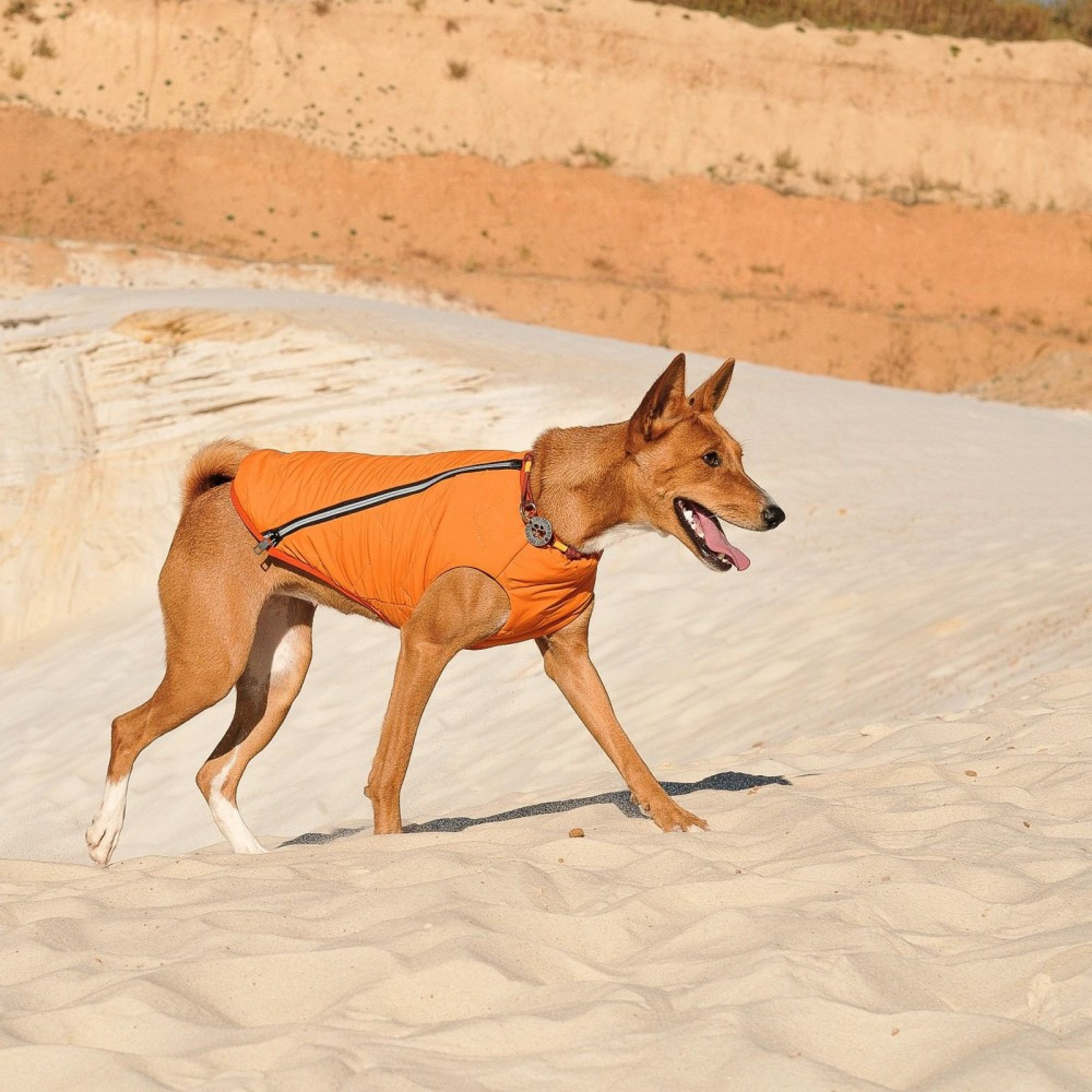 Жилет Pet Fashion E.Vest для собак помаранчевий XL