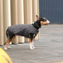 Жилет Pet Fashion E.Vest для собак сірий M2