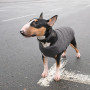 Жилет Pet Fashion E.Vest для собак сірий M2