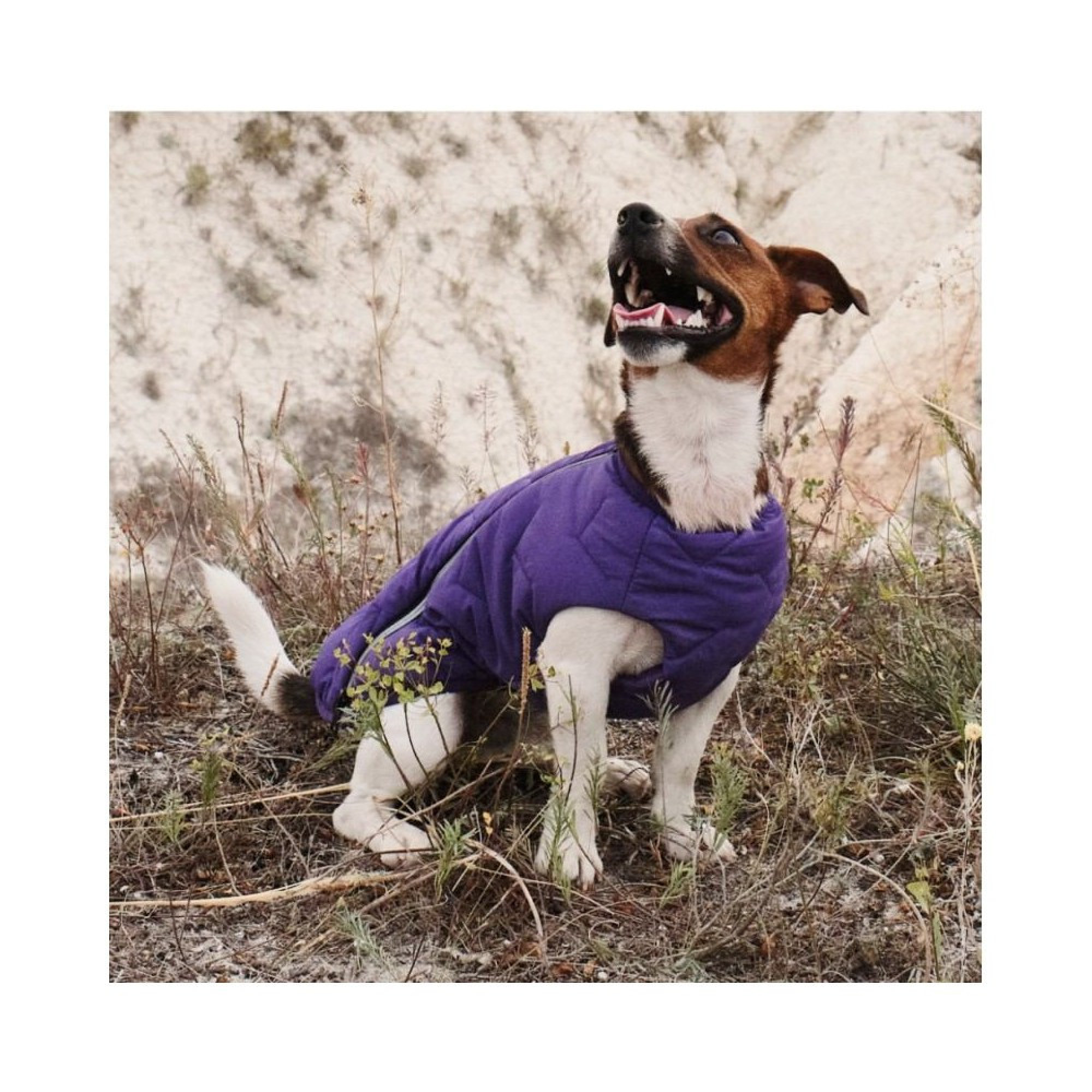 Жилет Pet Fashion E.Vest для собак фіолетовий SМ