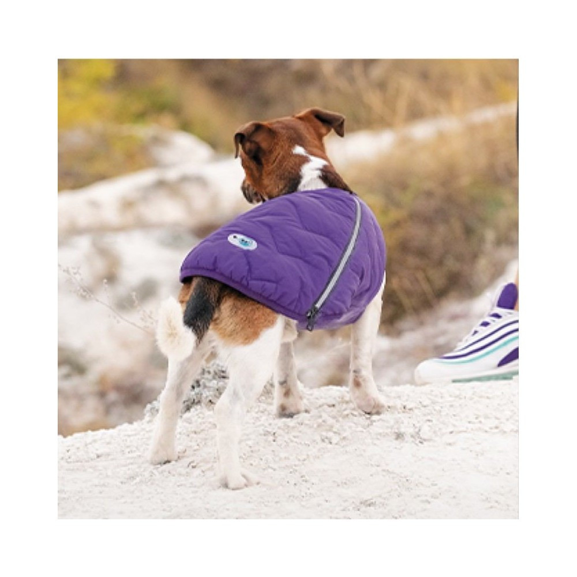 Жилет Pet Fashion E.Vest для собак фіолетовий SМ