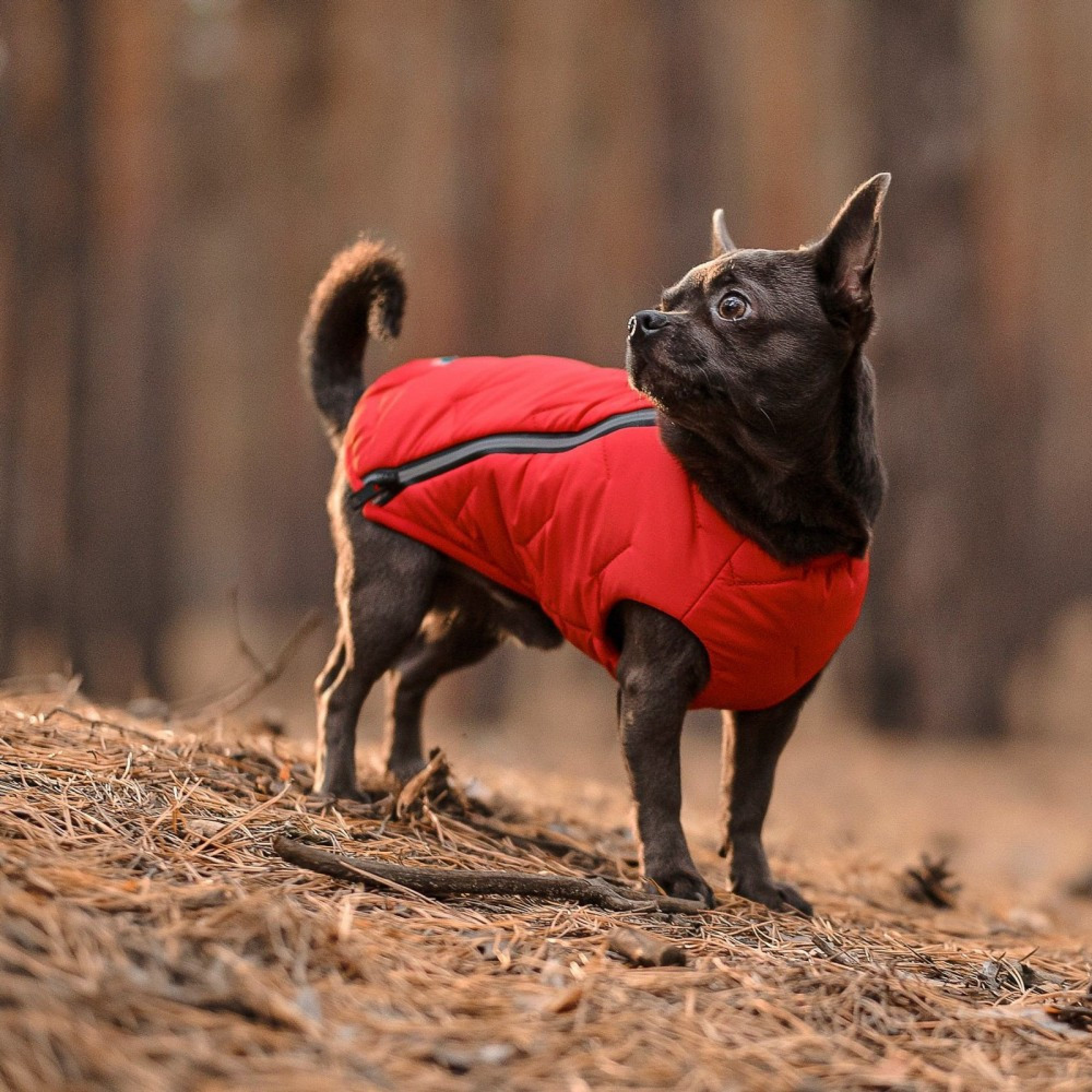 Жилет Pet Fashion E.Vest для собак червоний XS