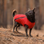Жилет Pet Fashion E.Vest для собак червоний XS