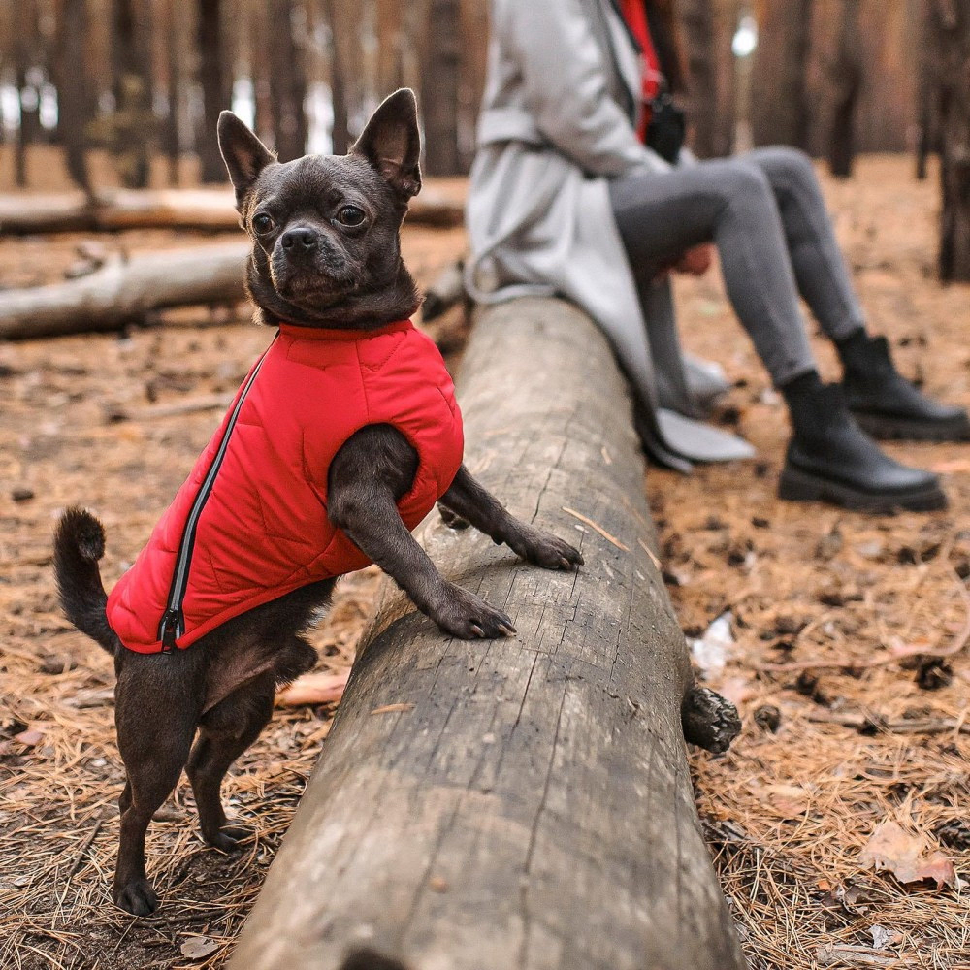 Жилет Pet Fashion E.Vest для собак червоний XS