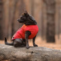 Жилет Pet Fashion E.Vest для собак червоний XS