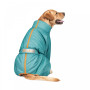 Комбінезон Pet Fashion Cold для собак бірюза 5XL