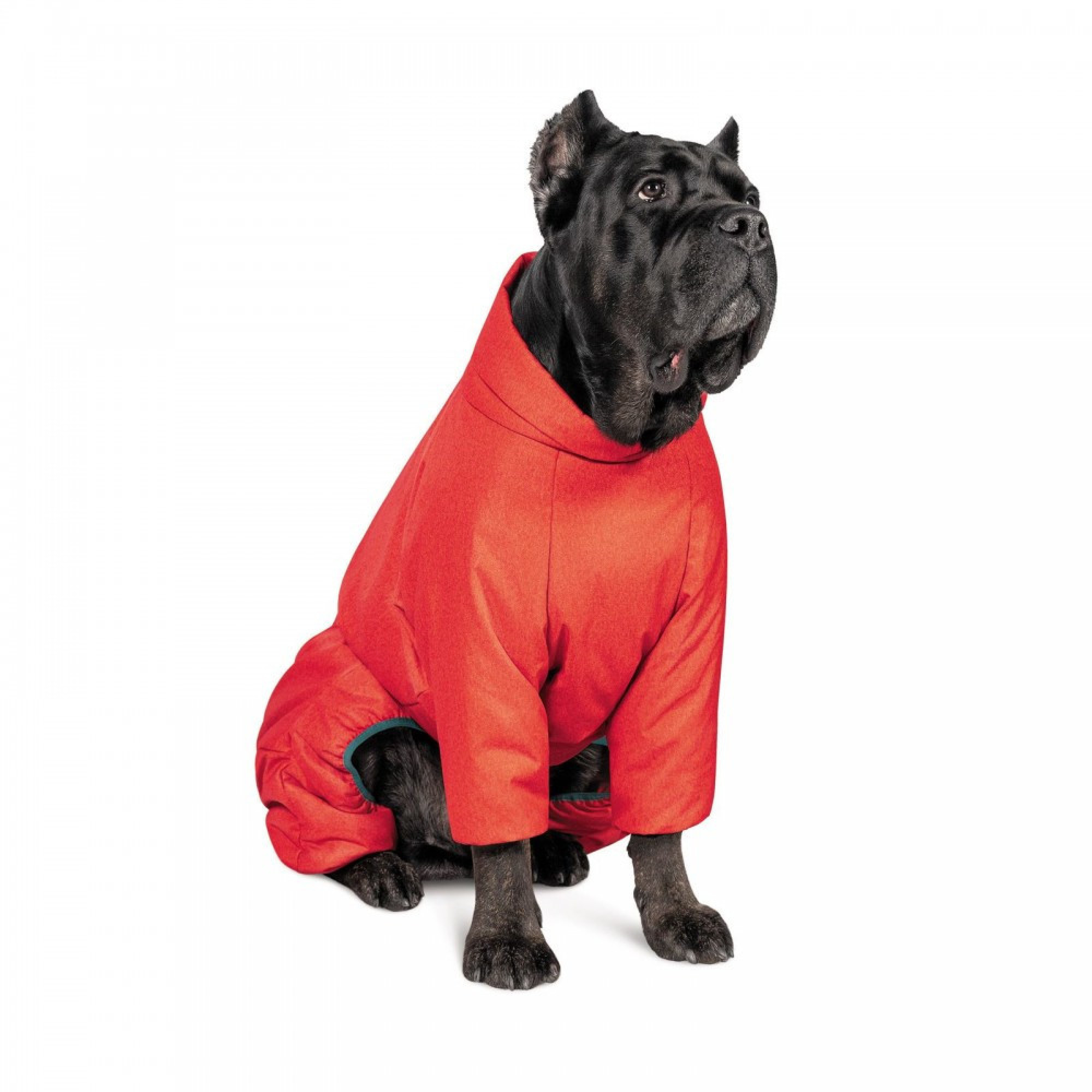 Комбінезон Pet Fashion Cold для собак червоний L