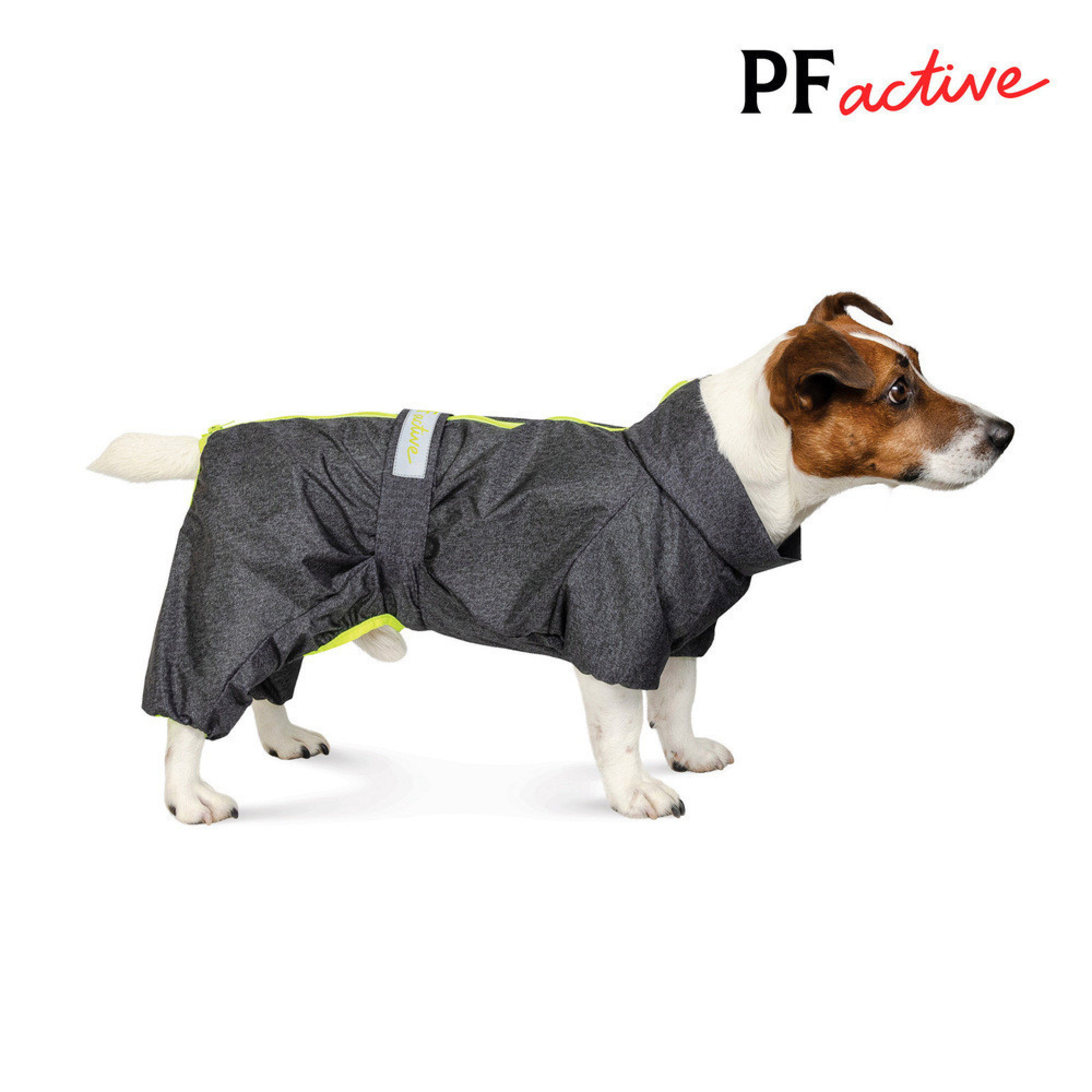 Комбінезон Pet Fashion Rain для собак сірий 6XL