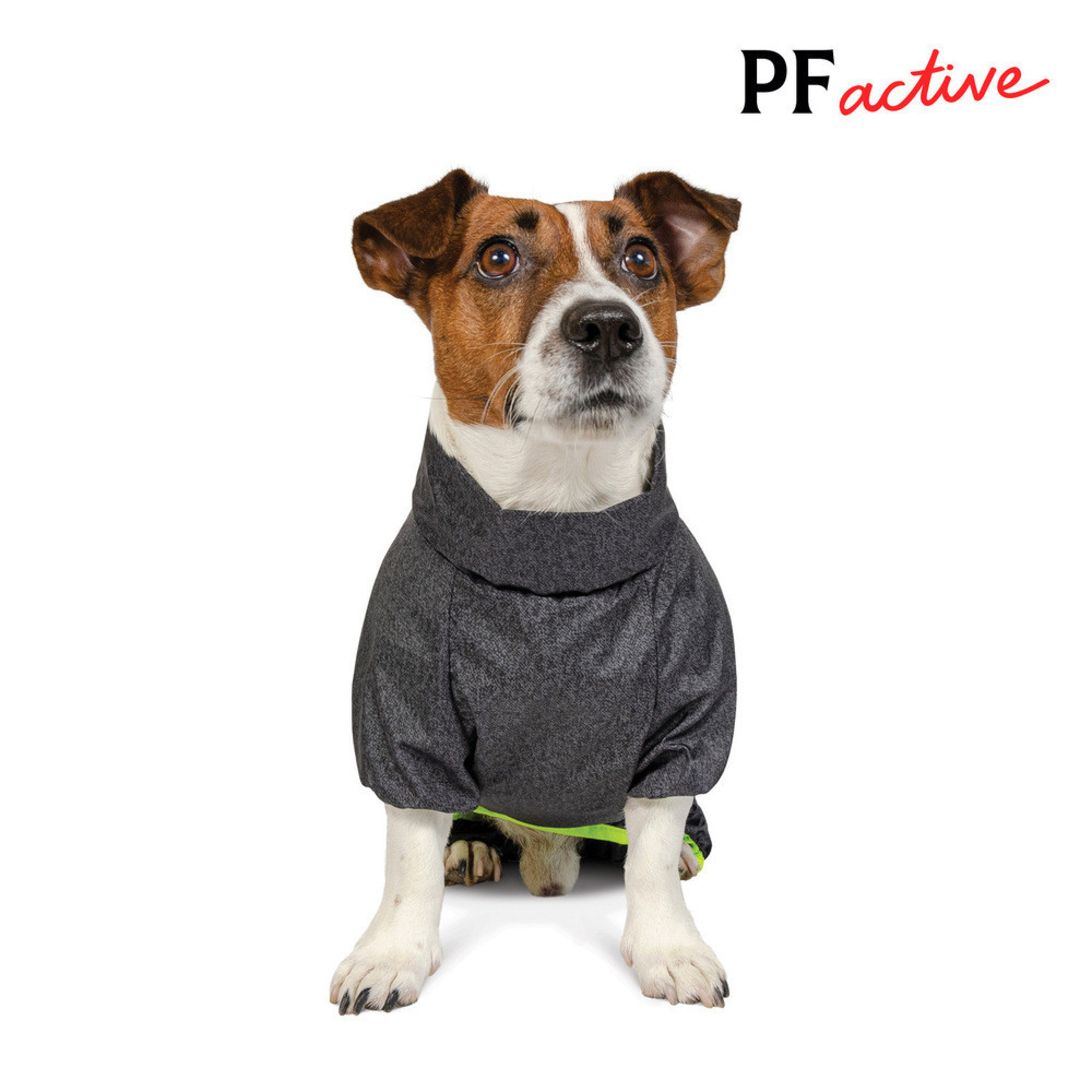 Комбінезон Pet Fashion Rain для собак сірий 6XL