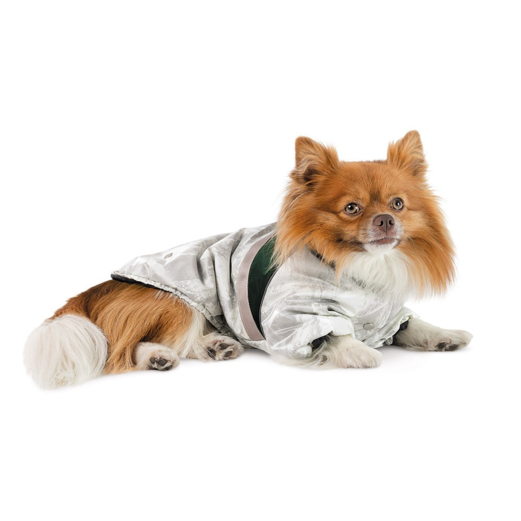 Куртка для собак Bony Pet Fashion, ХХS білий, зелений