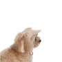 Кепка Pet Fashion Glamor для собак ХS